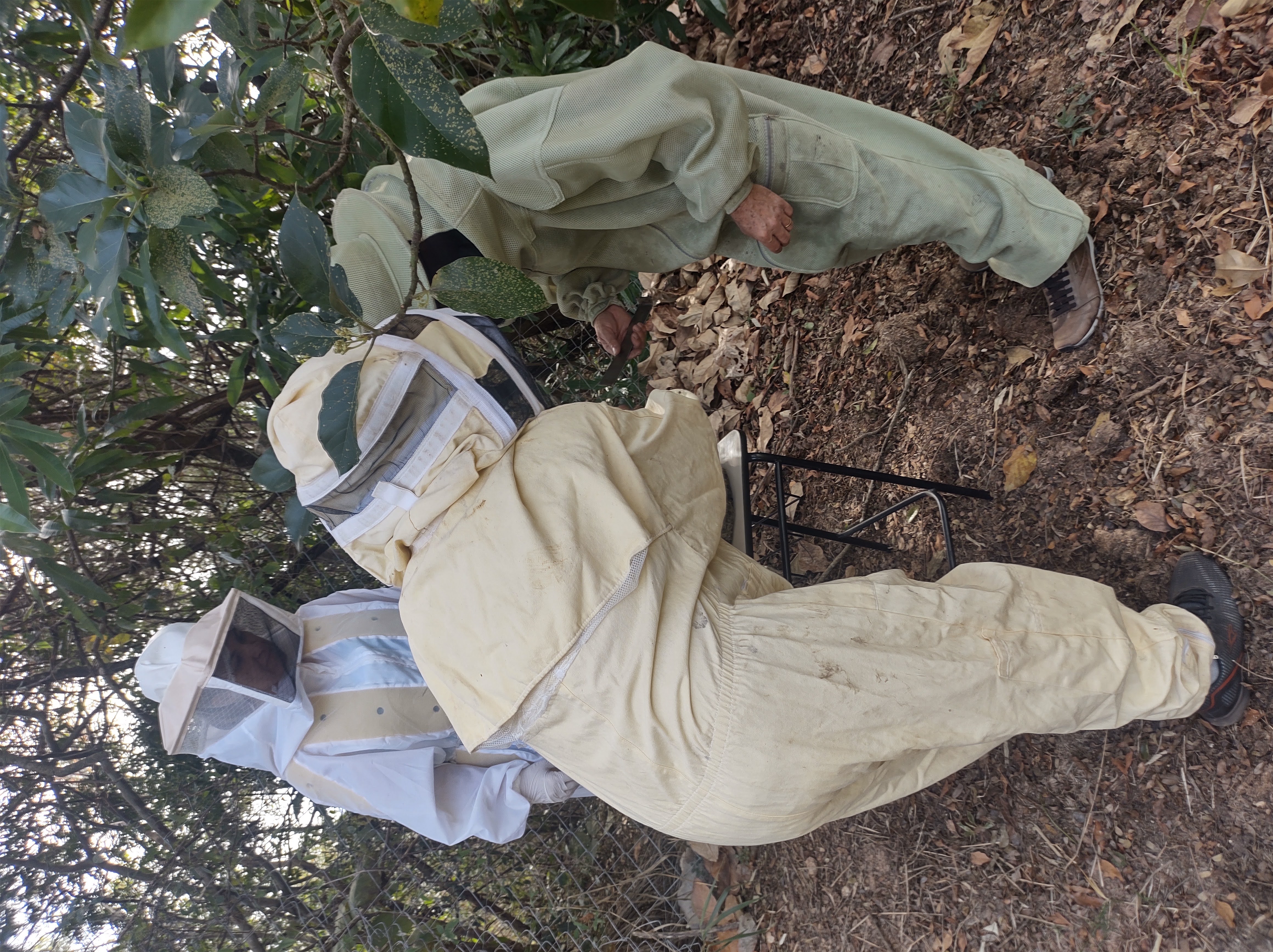 Curso de Meliponicultura